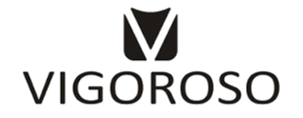 VIGOROSO logo